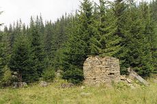 Ruiny schroniska KTN na Maryszeskiej. Fot. Dariusz Hop