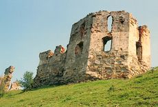 01 Ruiny zamku w Pniowie. Fot. Dariusz Hop.jpg
